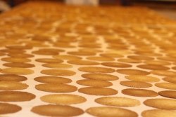 kniepertjes aktie 2013-9558.jpg